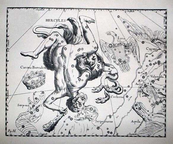 Wyobrażenie Herkulesa, Uranografia, Jan Heweliusz