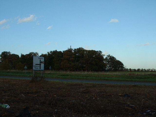 File:Hidden Mast - geograph.org.uk - 283391.jpg