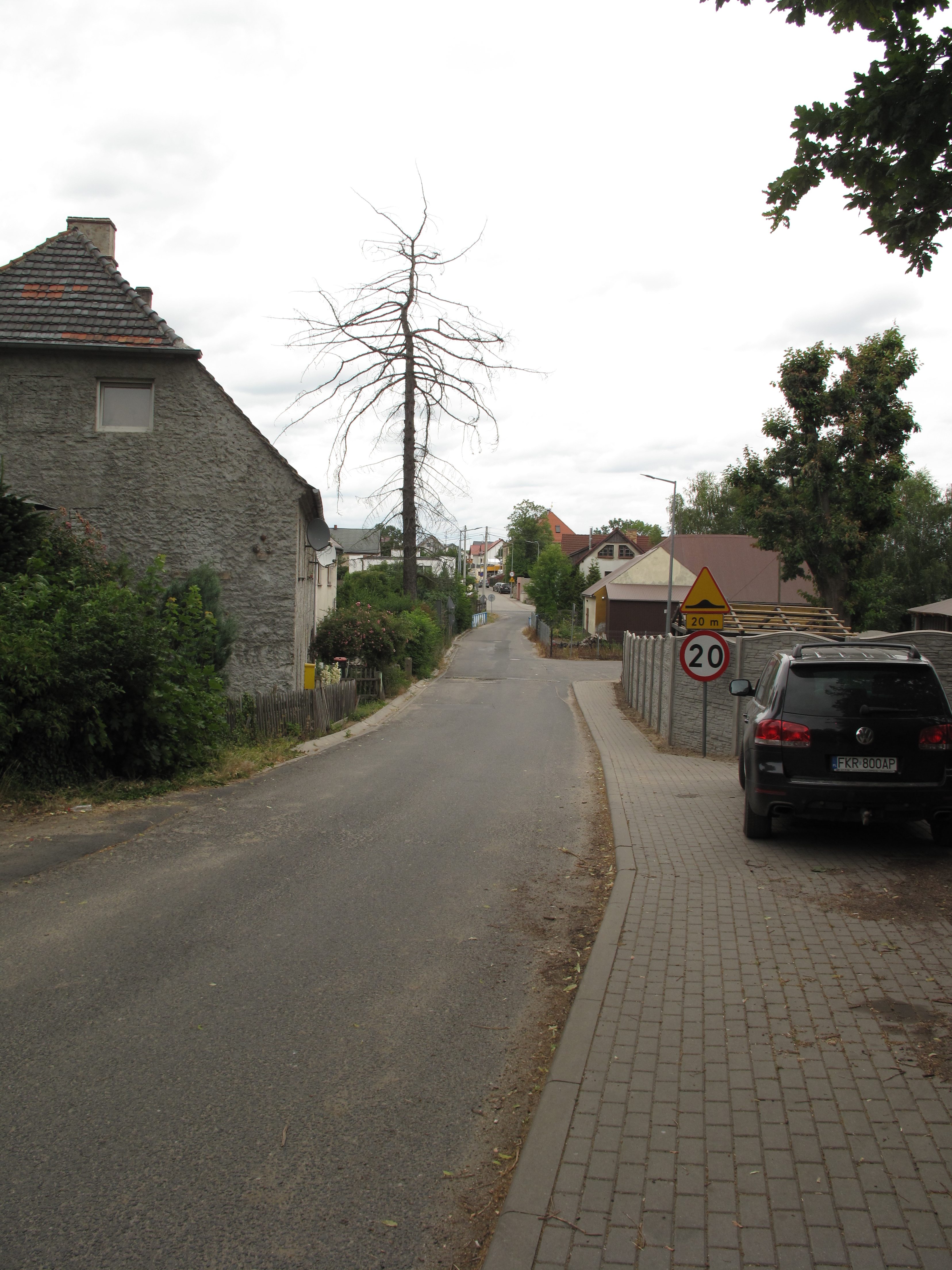 Trasy MTB - Jędrzychowice