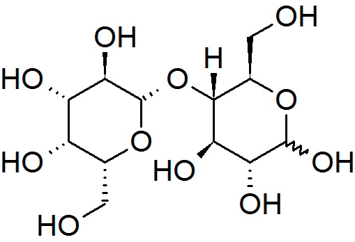 File:Lactose cyclic horizontal.png