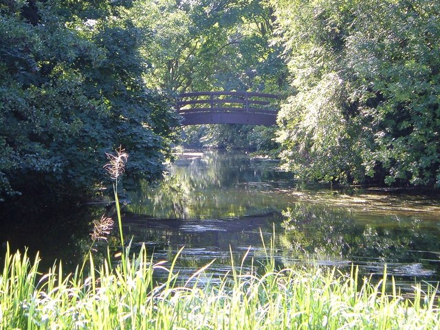 File:Lulle Brook - geograph.org.uk - 1419332.jpg