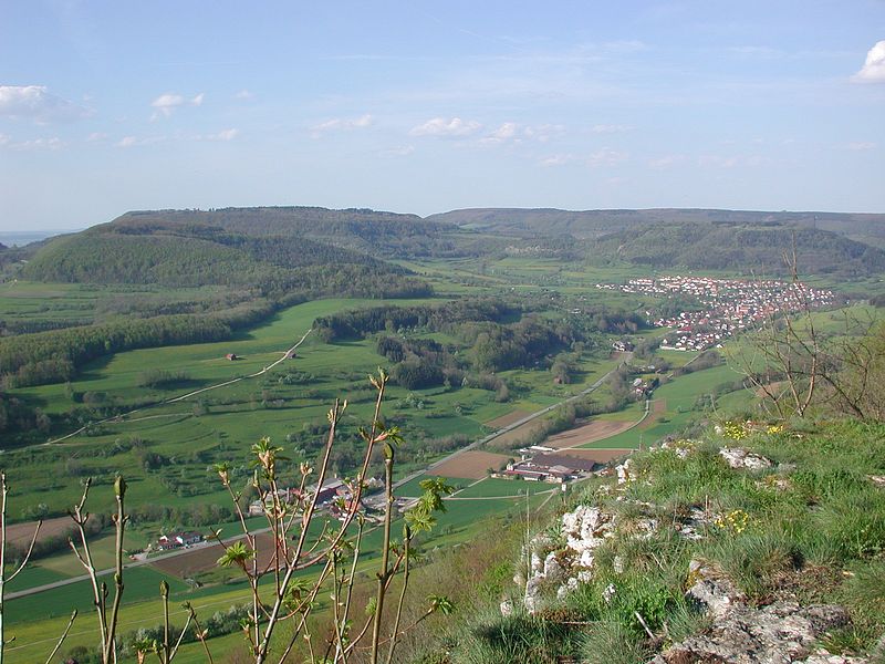 File:Messelstein-Kaltesfeld.jpg