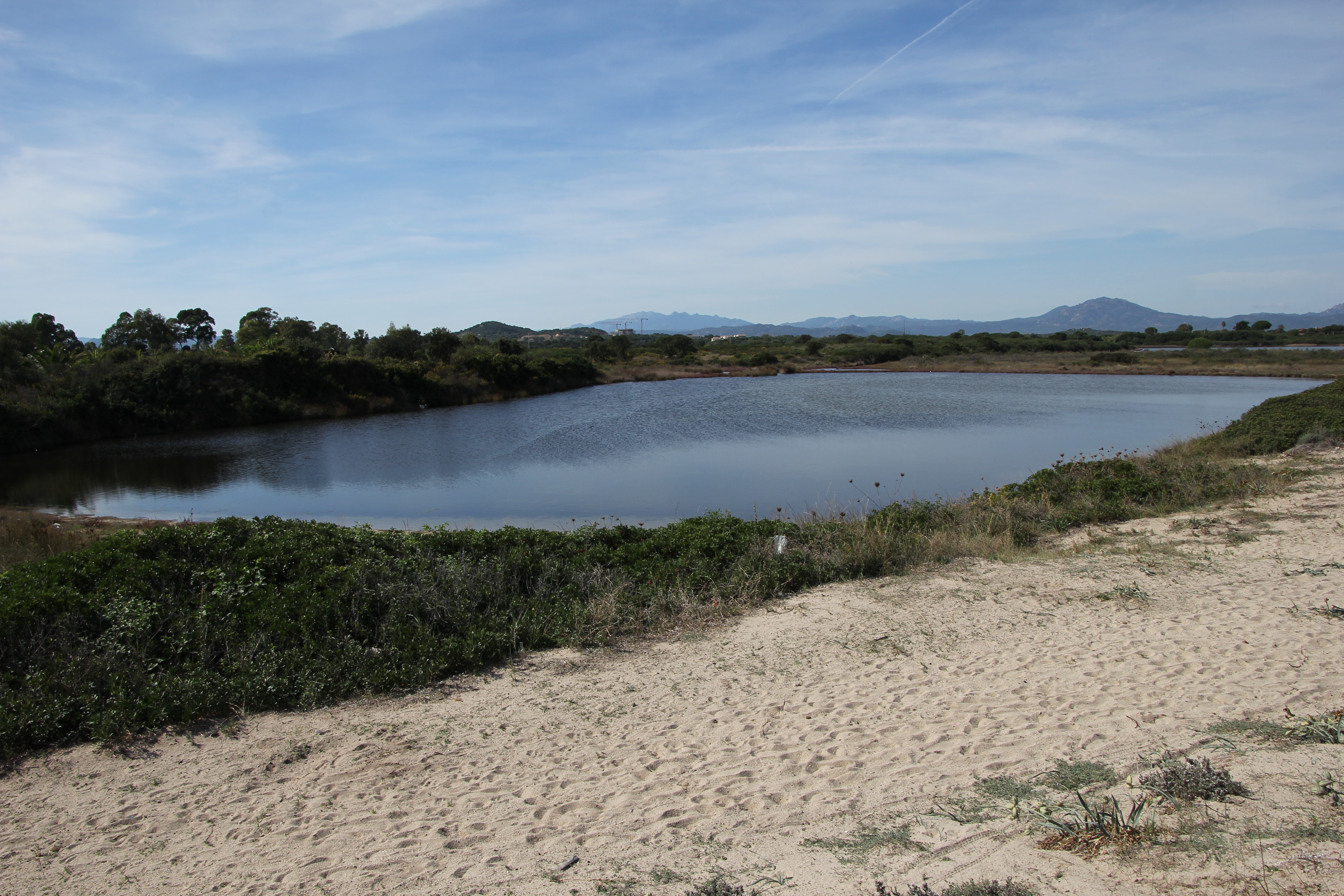 Olbia, stagno delle Saline