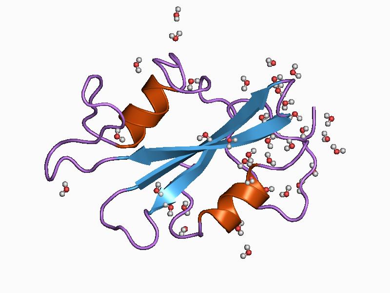 File:PDB 1bkl EBI.jpg