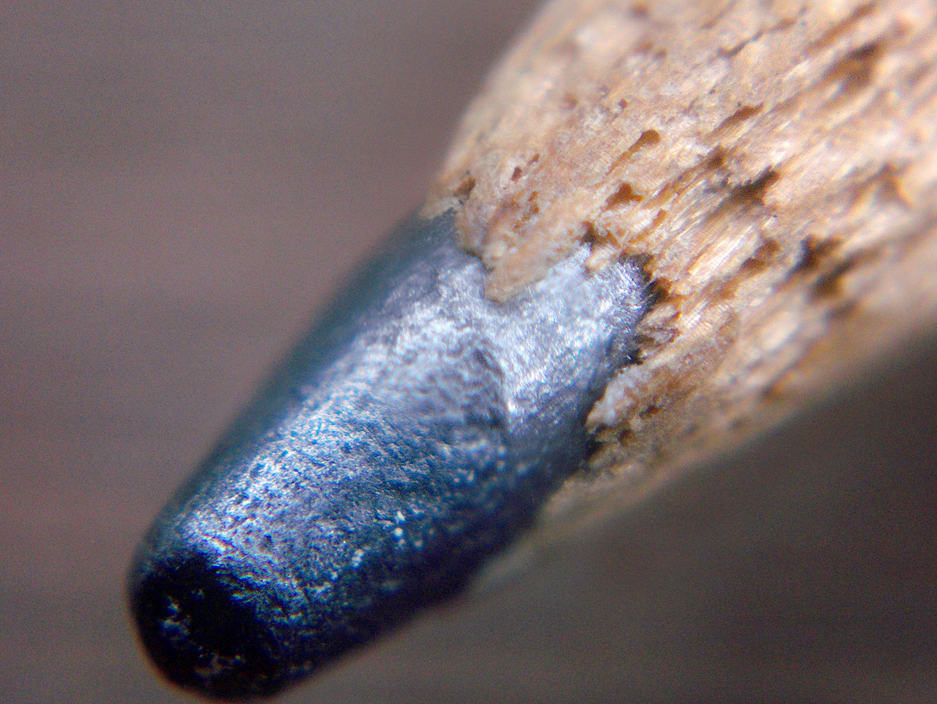 File:Pencil Macro.jpg - Wikimedia Commons