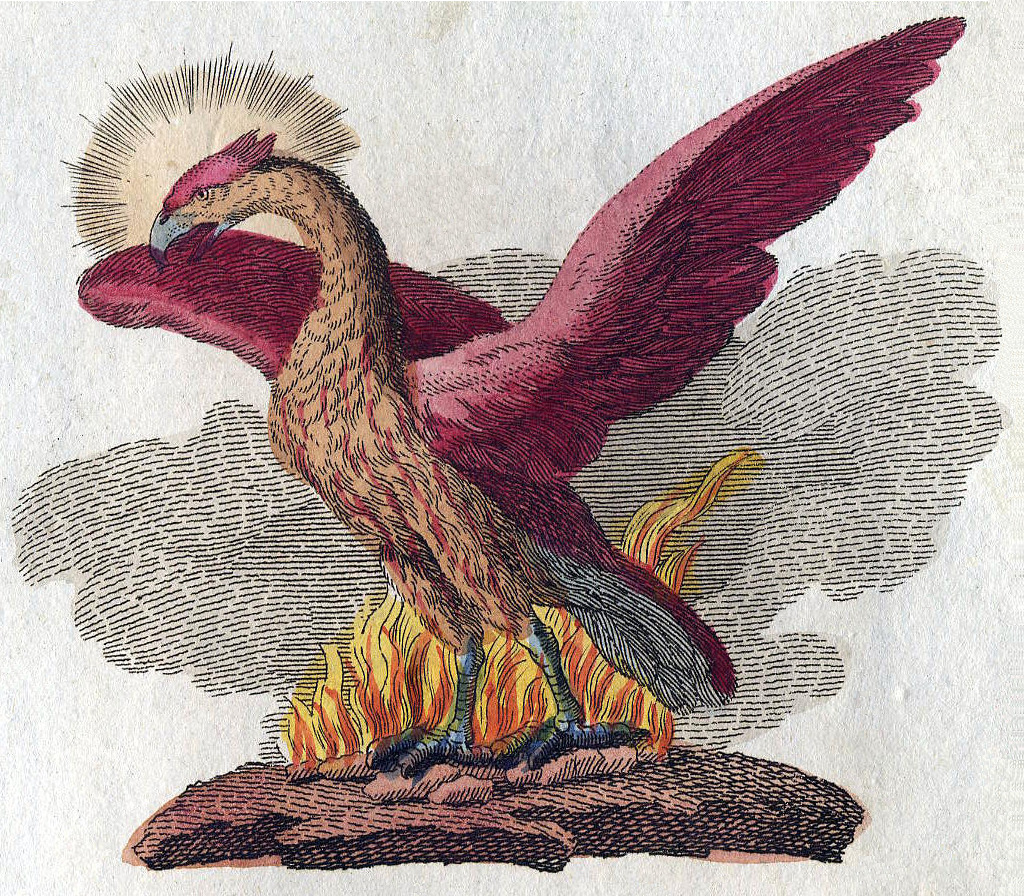 Phoenix Mythology Wikipedia