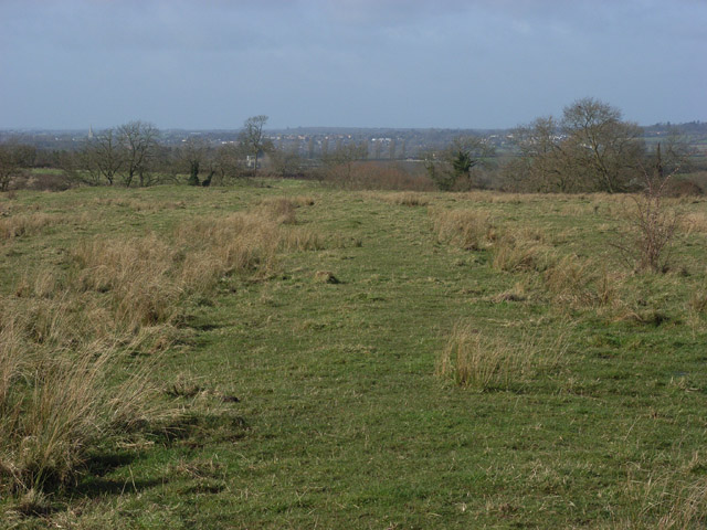 File:Pilch Field - geograph.org.uk - 337787.jpg