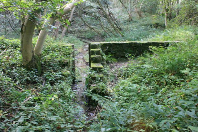 File:Remains of Reservoir, East Arnecliff Wood - geograph.org.uk - 570649.jpg