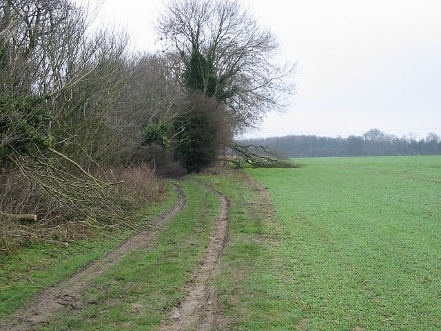 File:Roman road, near Telegraph Farm - geograph.org.uk - 331896.jpg