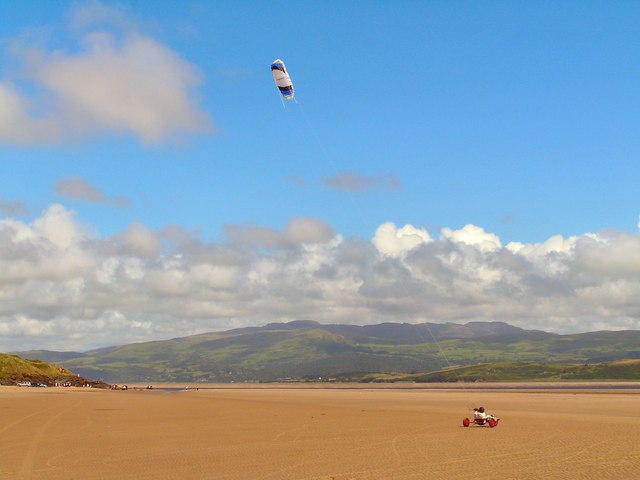 are dogs allowed on black rock sands