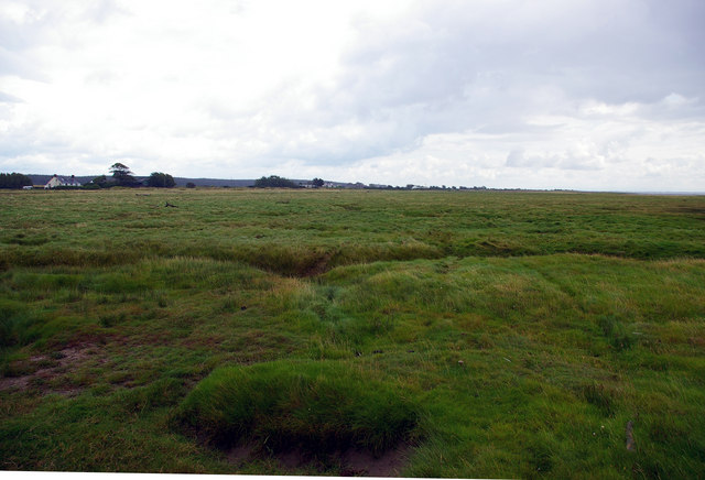 File:Saltmarsh near east Howcreek - geograph.org.uk - 526632.jpg