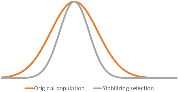 stabilizing selection graph