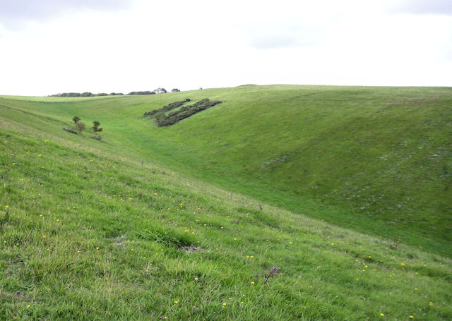 File:Stonehill Down - geograph.org.uk - 1523209.jpg