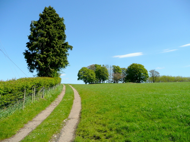 File:Track and footpath to Deep Dean - geograph.org.uk - 1280649.jpg