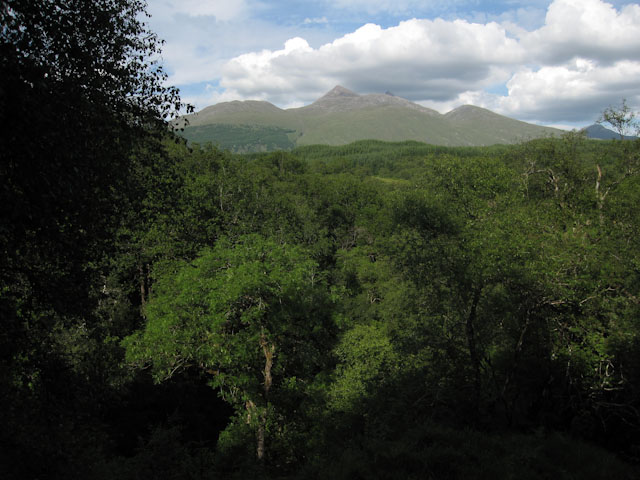 Glen Nant