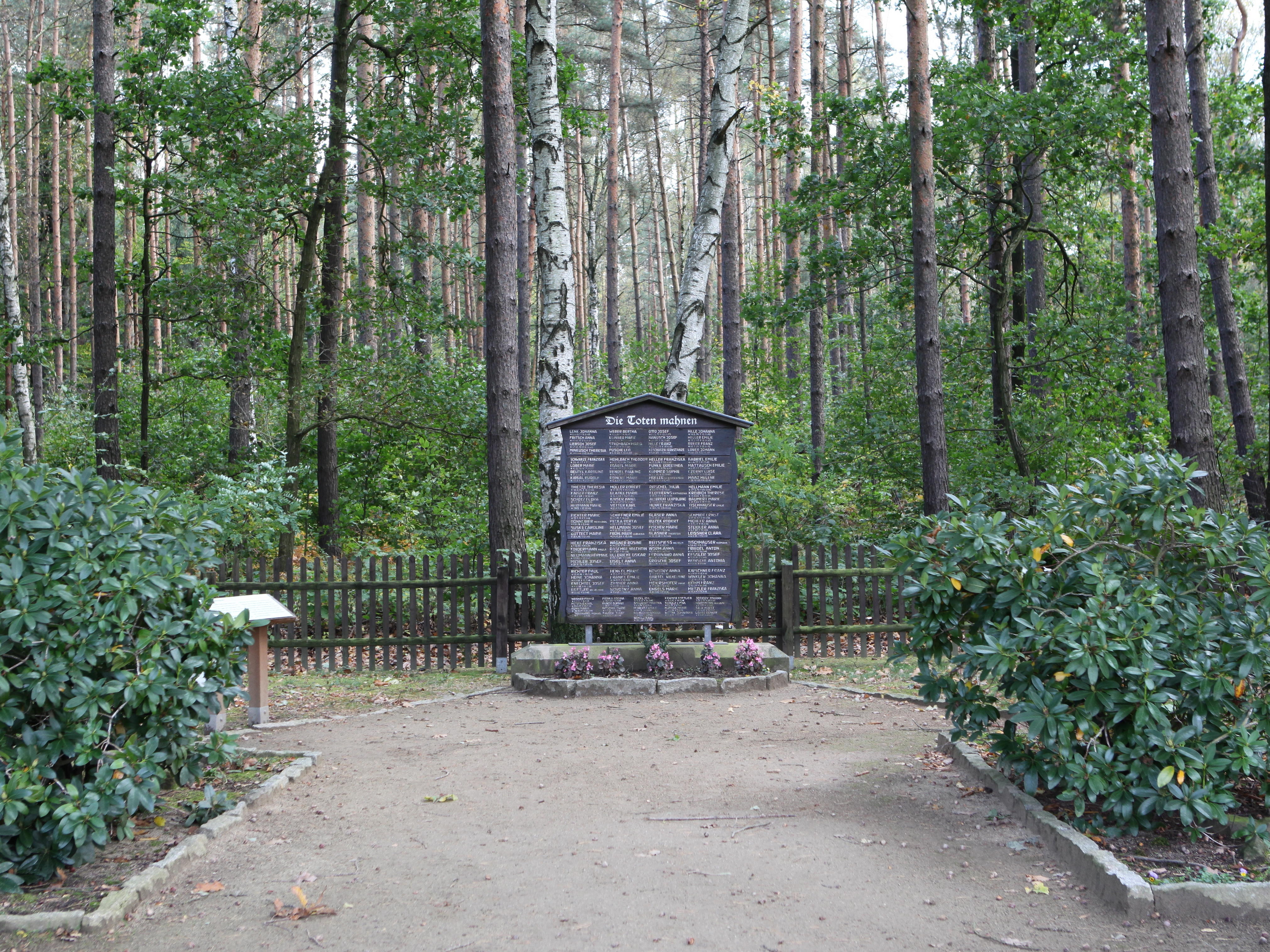 File Waldfriedhof Am Sellnitzgrund Jpg Wikimedia Commons