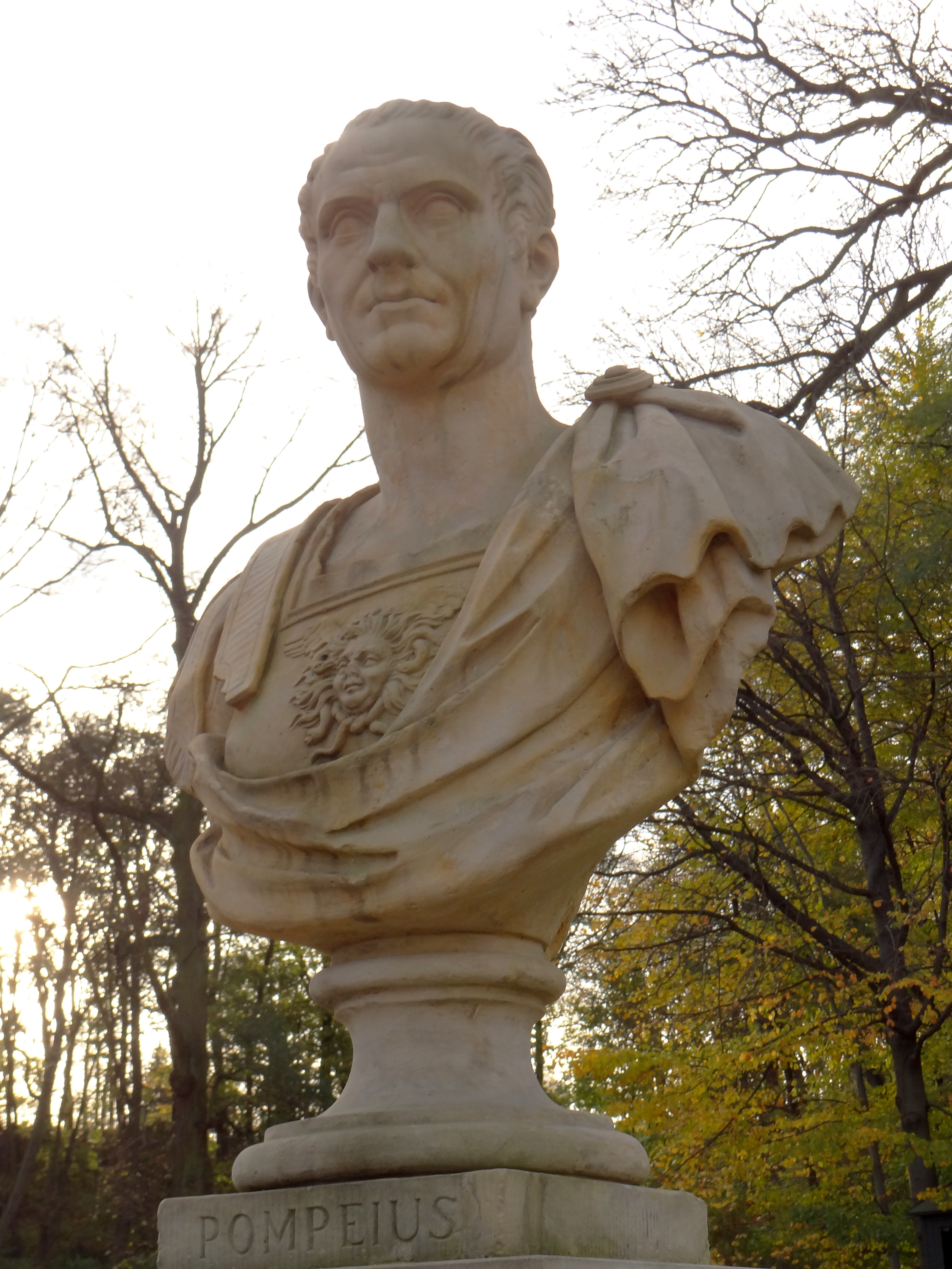 Гней помпей. Pompeius Magnus. Помпей полководец в древнем Риме. Маркус Магнус Рим.