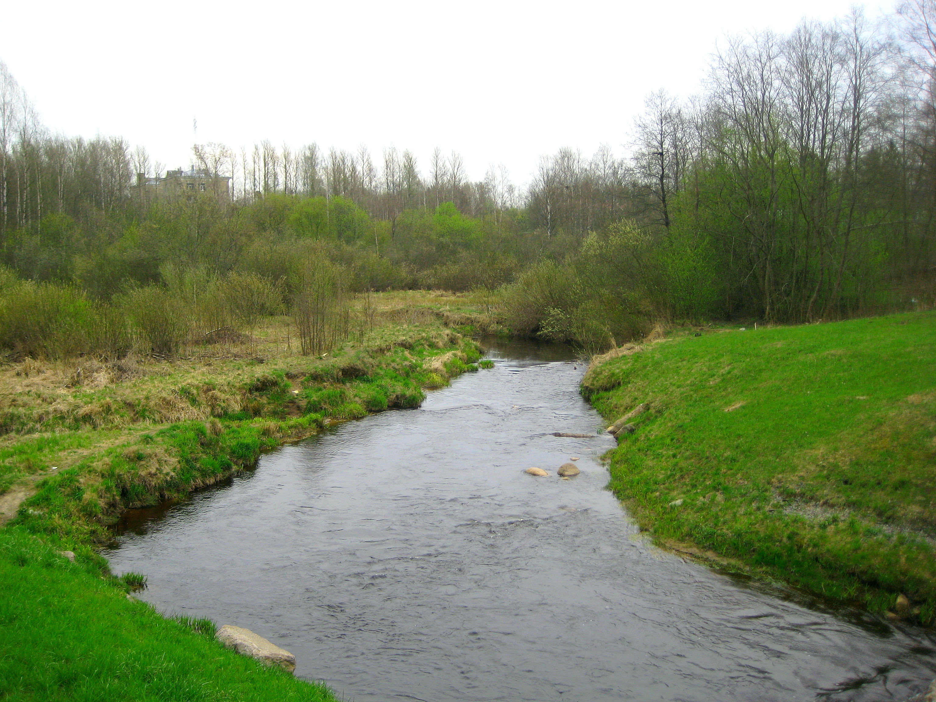 Река черная ленинградская область