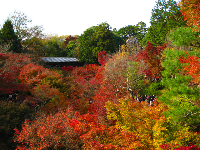 File 東福寺の紅葉 Autumn Leaves At Tofuku Ji 21 Nov 09 Panoramio Jpg Wikimedia Commons