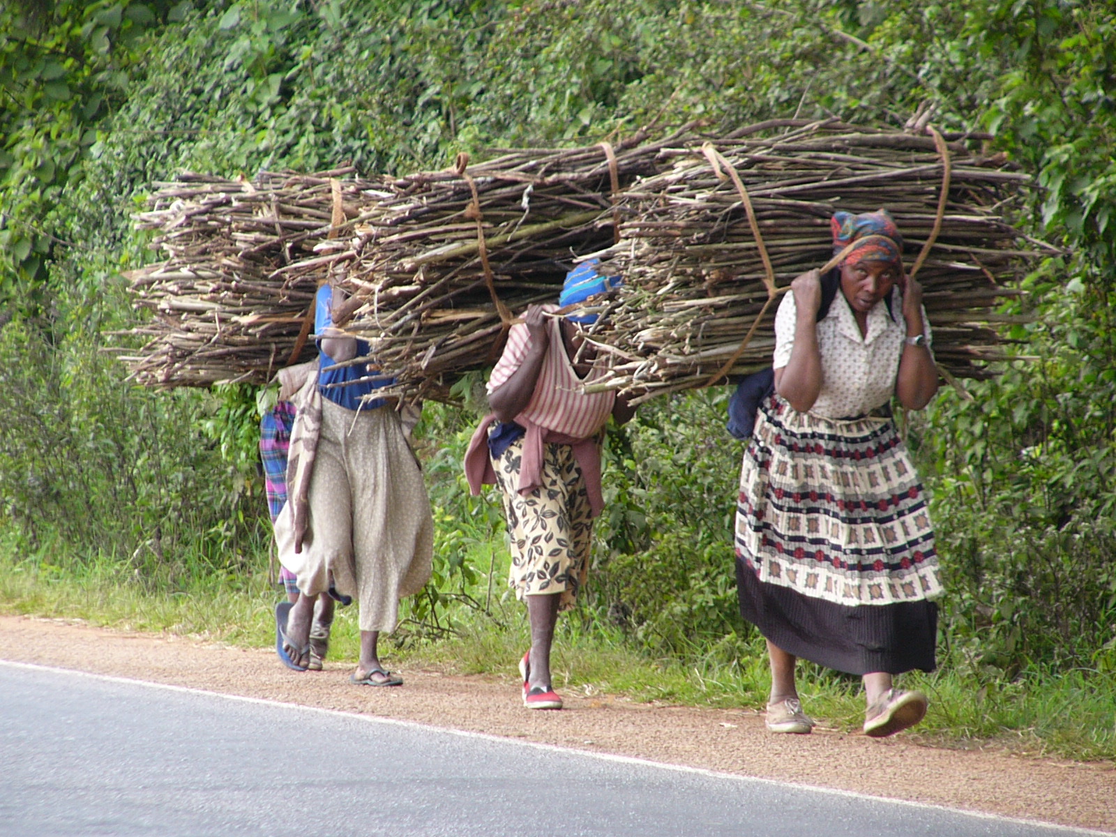 File:AFRICAN WOMEN CARRYING FIREWOOD.jpg - Wikipedia