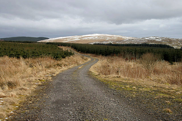 File:A forestry road at Glaisters Wood - geograph.org.uk - 1729867.jpg