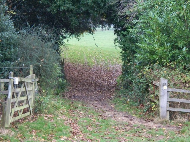 File:Between the lakes - geograph.org.uk - 1580876.jpg