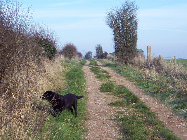 File:Byway near Tottons Down Barn - geograph.org.uk - 332386.jpg