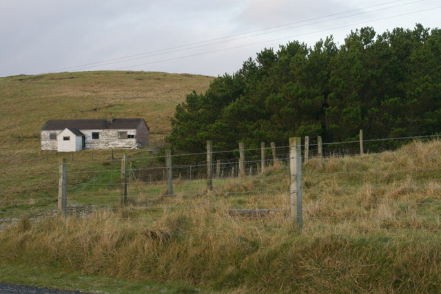 File:Catfirth plantation - geograph.org.uk - 1600952.jpg