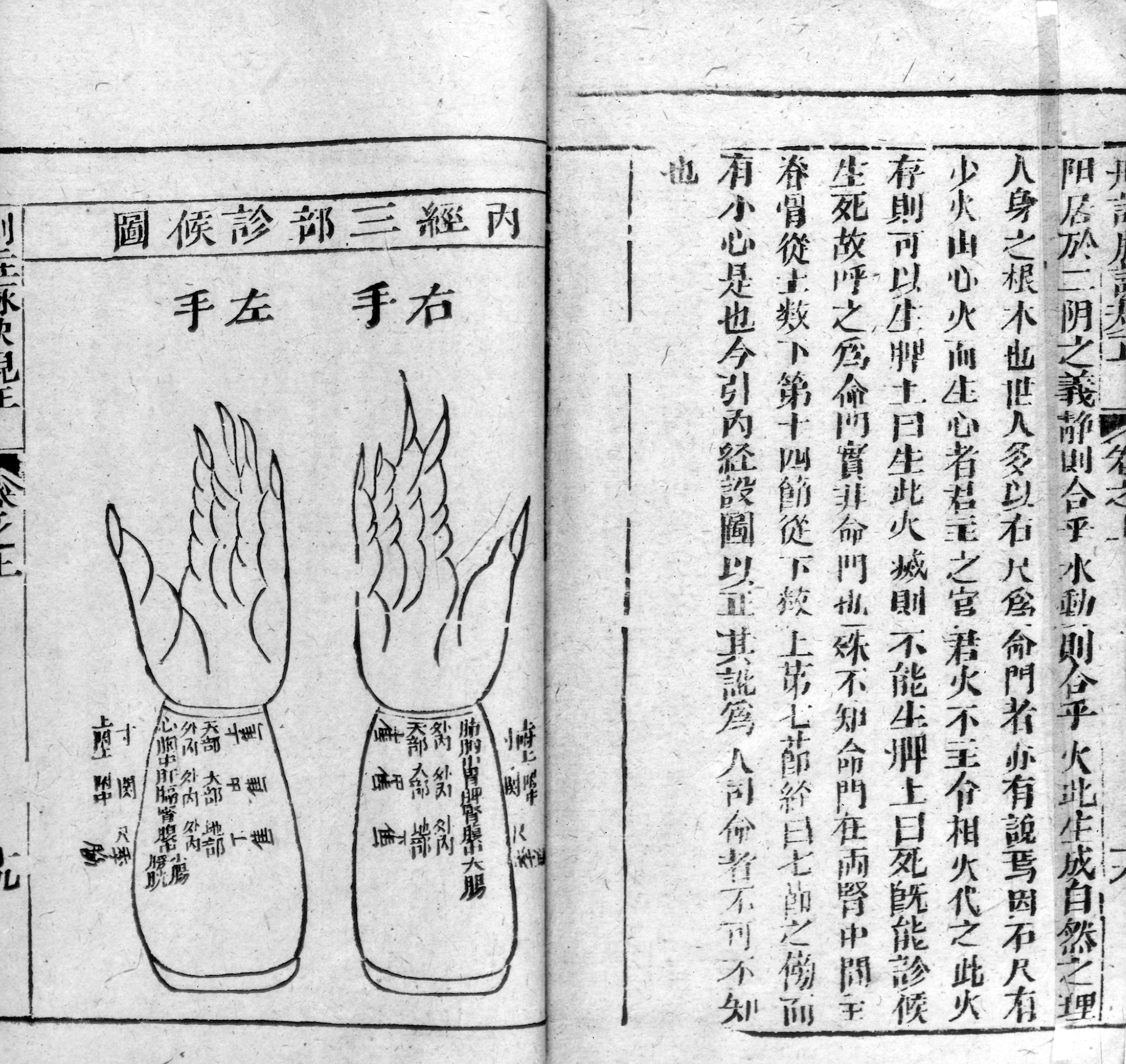 Chinese Pulse Diagnosis Chart