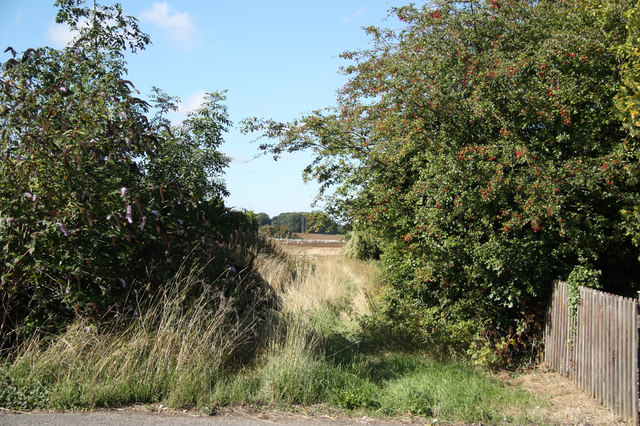 Course of Willoughby Branch Line - geograph.org.uk - 2053519