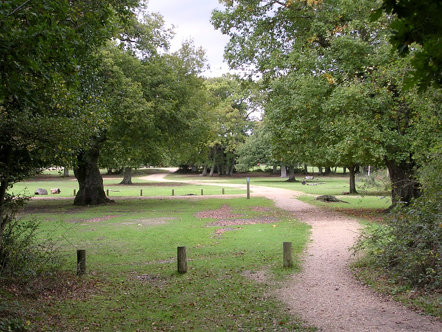 Cycle path entering Ashurst campsite from Ashurst Wood, New Forest - geograph.org.uk - 68773