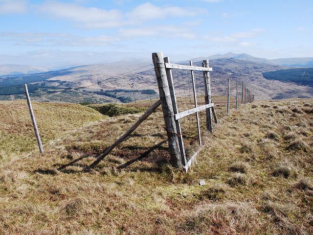 File:Deer fence - geograph.org.uk - 1258162.jpg