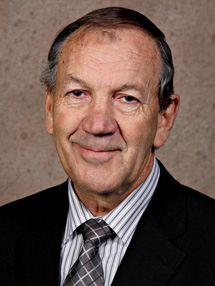 <span class="mw-page-title-main">Lourie Bosman</span> South African politician