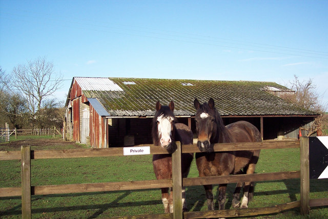 File:Ears Pricked - geograph.org.uk - 311287.jpg