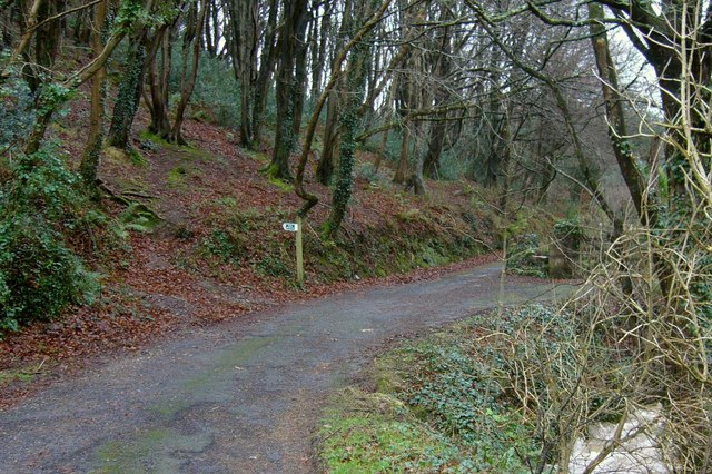 File:Entering Cleave Wood from Score Valley. - geograph.org.uk - 804582.jpg