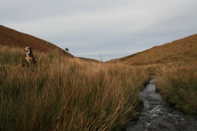 File:Farley Water - geograph.org.uk - 650482.jpg