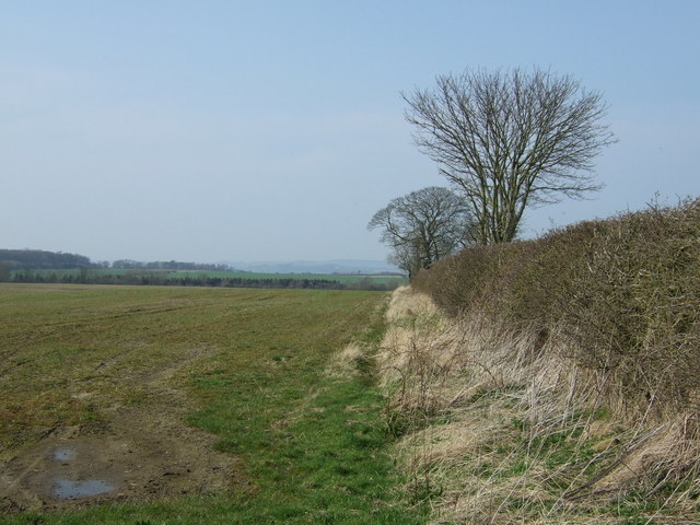 Farmland and hedgerow near Tranwell - geograph.org.uk - 4426833