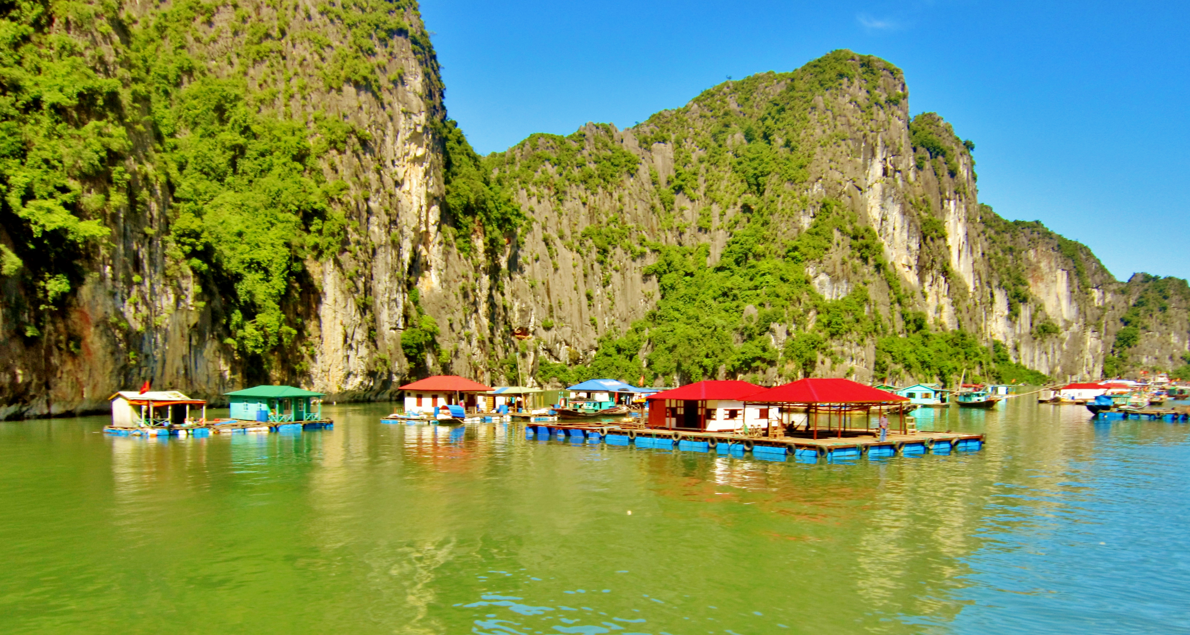 File:Floating Market in Fishing Village in Ha Long Bay, Vietnam - panoramio.jpg - Wikimedia Commons