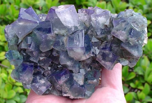 File:Fluorite-136220.jpg