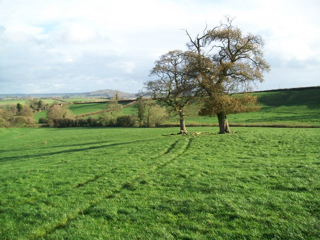 File:Footpath from Little Kington Farm to West Stour - geograph.org.uk - 1595334.jpg