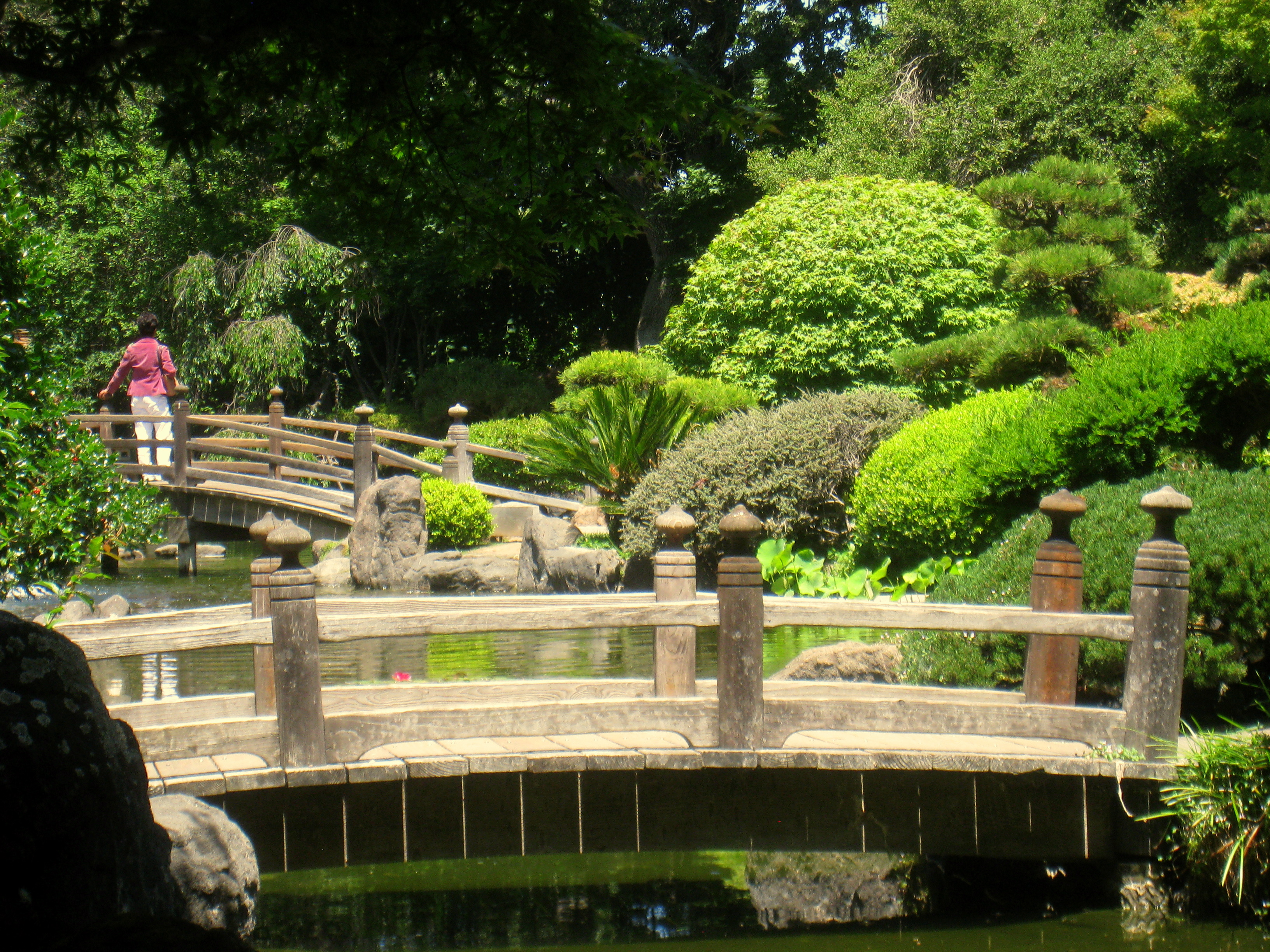 File Japanese Tea Garden San Mateo Ca Img 9114 Jpg Wikimedia