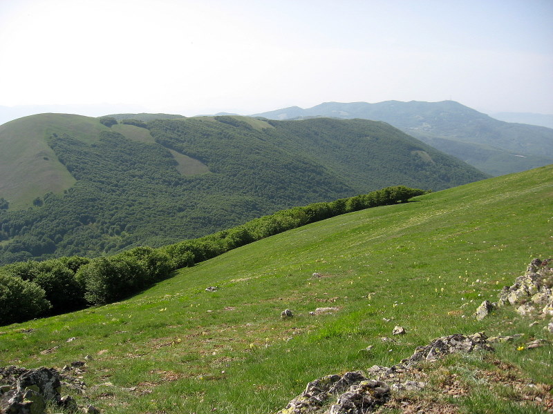 File:Monti Calvelluzzo e Pierfaone - dalla vetta del monte Volturino.JPG