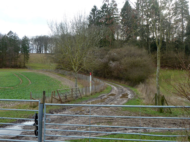 File:Muddy track, Bix Bottom - geograph.org.uk - 3834456.jpg