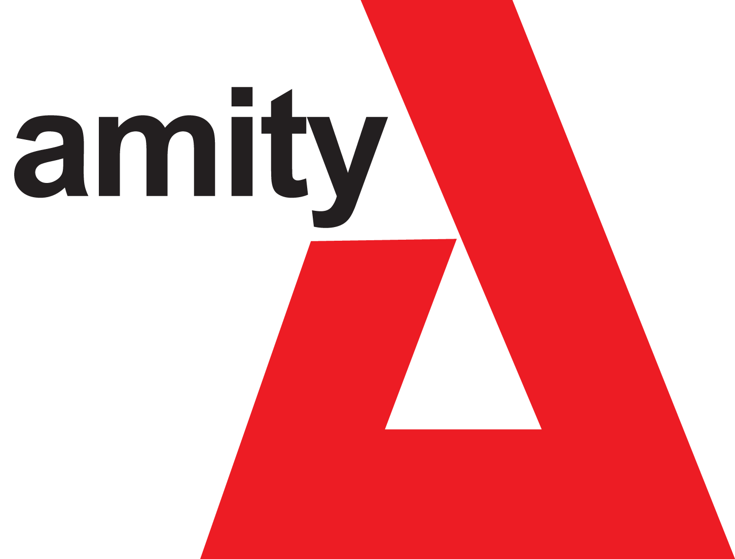 amity logo