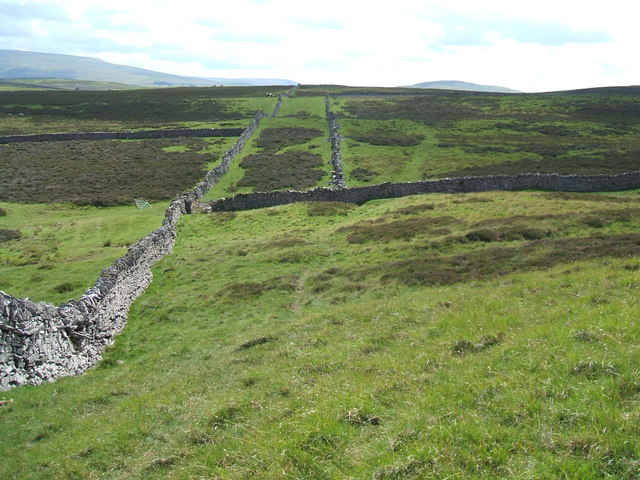 File:On Ash Fell - geograph.org.uk - 1976171.jpg