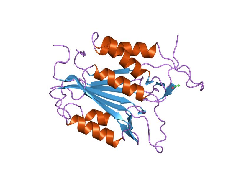 File:PDB 1pau EBI.jpg