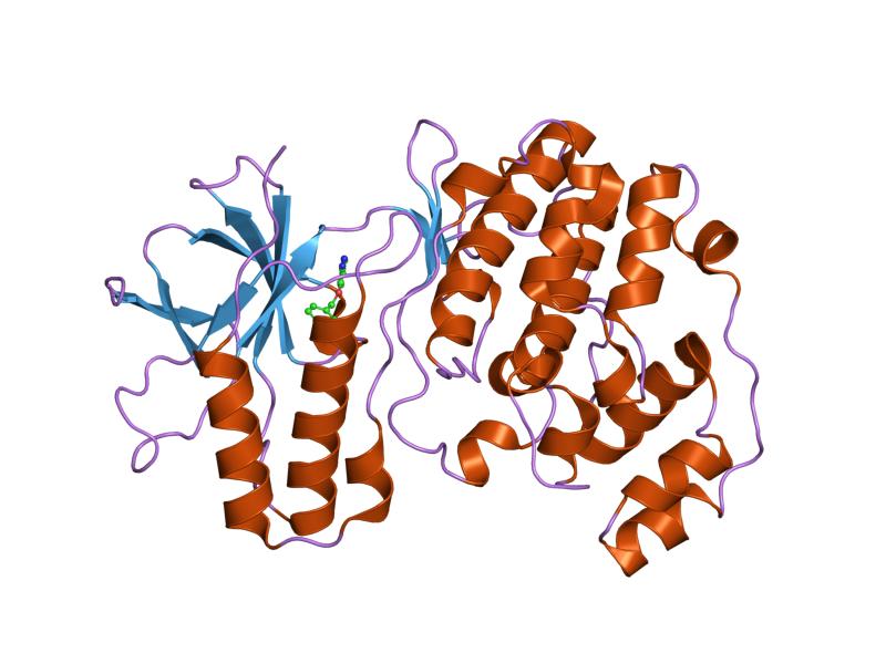 File:PDB 1w7h EBI.jpg