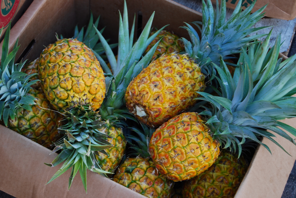 File:Pineapples.jpg - Wikimedia Commons