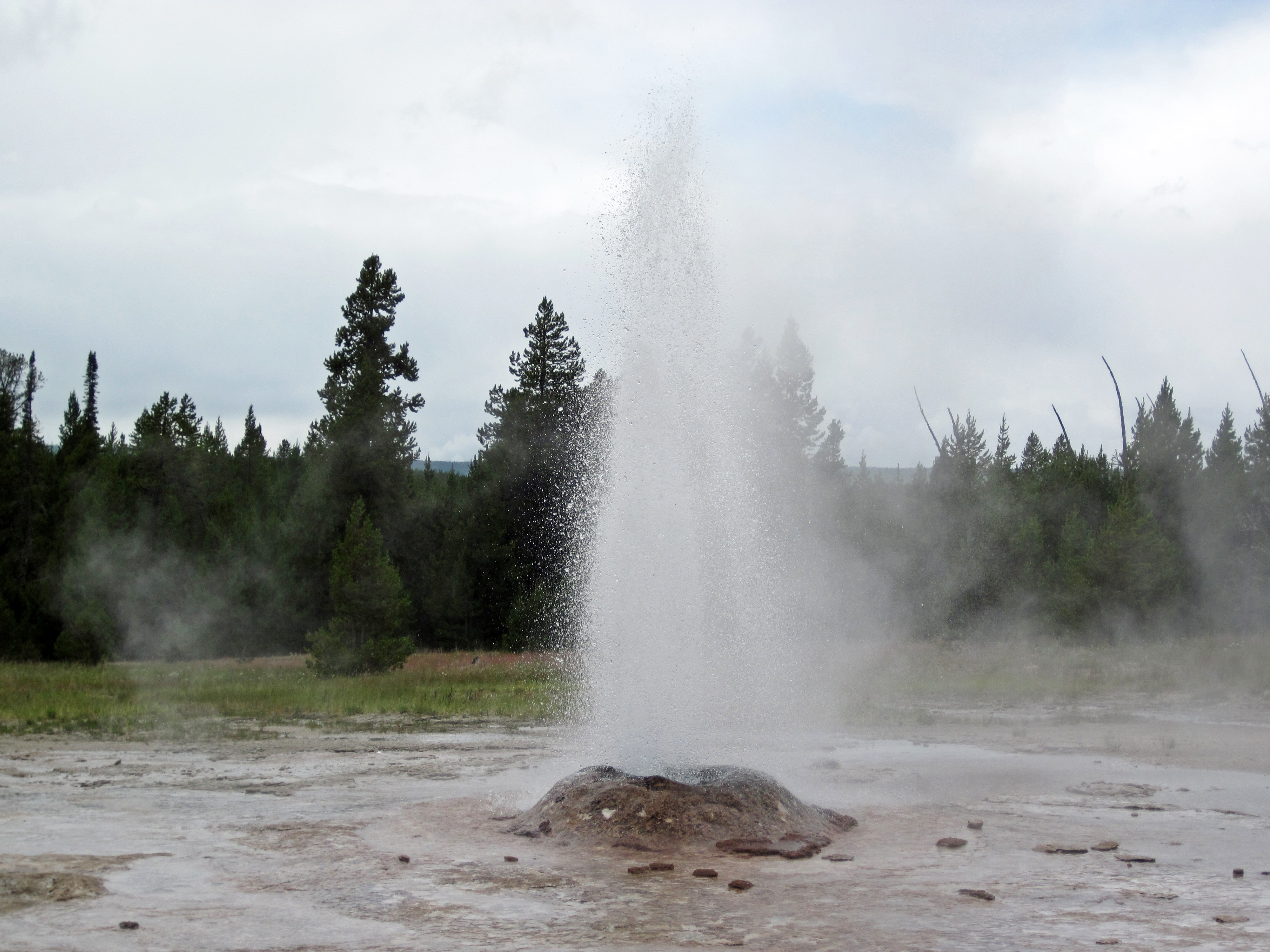 Slt geyser steam hose фото 25