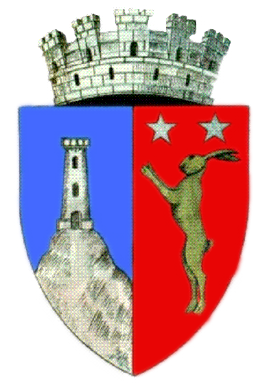 File:ROU GL Tecuci CoA.png